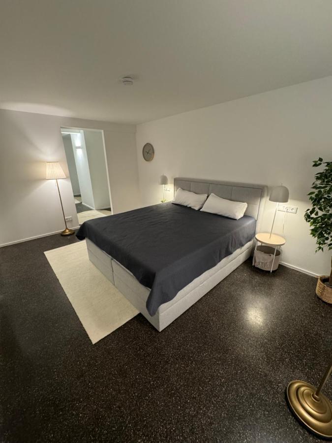 Isaak Appartment Stadtjuwel Waldshut-Tiengen Exteriér fotografie