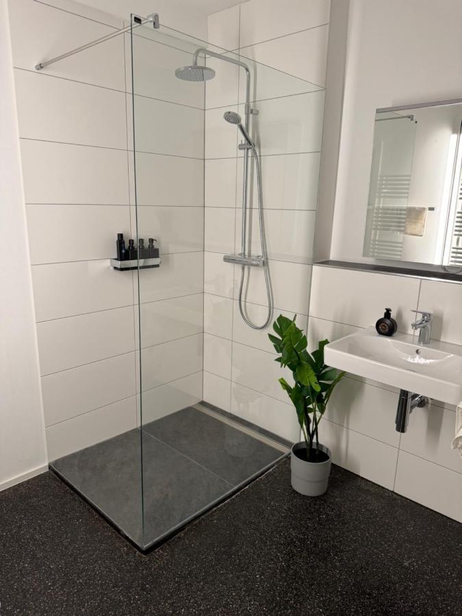 Isaak Appartment Stadtjuwel Waldshut-Tiengen Exteriér fotografie