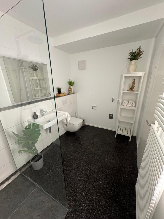 Isaak Appartment Stadtjuwel Waldshut-Tiengen Exteriér fotografie