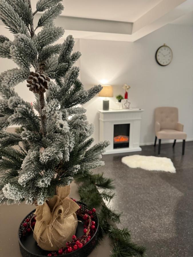 Isaak Appartment Stadtjuwel Waldshut-Tiengen Exteriér fotografie