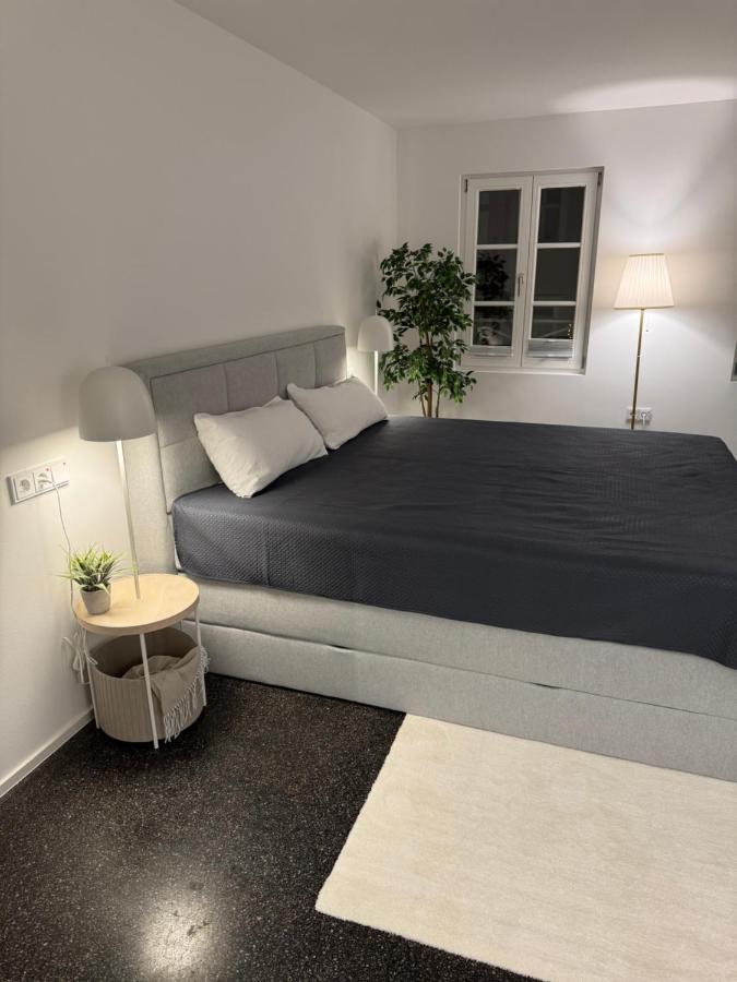 Isaak Appartment Stadtjuwel Waldshut-Tiengen Exteriér fotografie